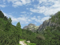 IMG_6319.jpg, 29kB